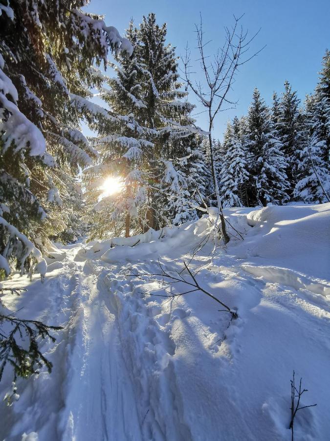 Pension Haus In Der Sonne Fieberbrunn Exteriér fotografie